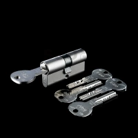 ISEO R6 EXTRA wkładka bębenkowa dwustronna  (klucz/klucz) 55x60, niklowana matowa