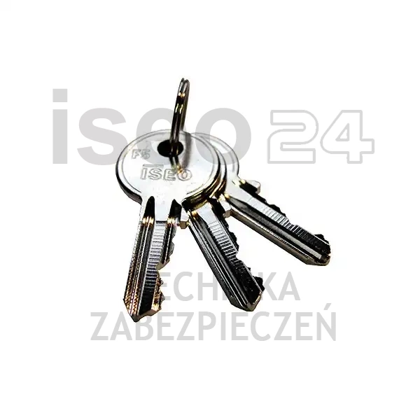 ISEO F5 wkładka bębenkowa dwustronna  (klucz/klucz) 21x21, niklowana matowa